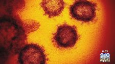 BREAKING: 7th Michigan Patient Dies of Coronavirus