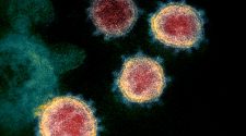 Coronavirus Live Updates: Cases in the U.S. Break 300