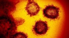 Florida reports 2 dead from coronavirus, first known fatalities on East Coast