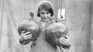 A young girl holds mangolds grown in Cornwall in the 1930s