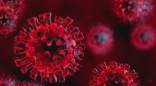 How many people are being monitored for coronavirus in Oregon