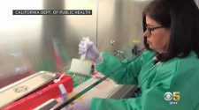 Stanford Health Expert Agrees Coronavirus Is Spreading Fast But Questions Governor’s Projections – CBS San Francisco