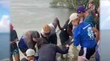Brevard students monitoring sea levels, Indian River Lagoon health