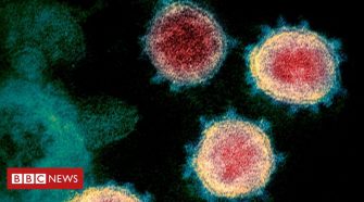 UK Biobank: DNA to unlock coronavirus secrets