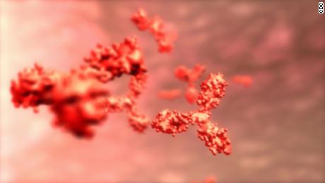 What are antibody tests, and what good do they do?