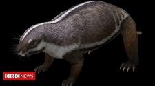 'Crazy beast' lived among last of dinosaurs