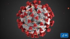 BREAKING NEWS: Bedford County records first COVID-19 death; state at nearly 500 virus fatalities | Coronavirus