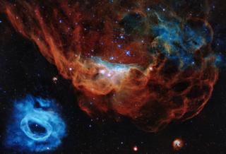 The portrait features the giant nebula NGC 2014 and its neighbour NGC 2020