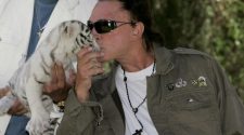 Roy Horn Of Siegfried and Roy Dies of COVID-19 At Age 75 : NPR
