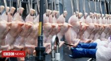 MPs urge UK ban on chlorinated chicken and hormone-fed beef