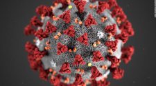 Coronavirus pandemic - Latest Updates