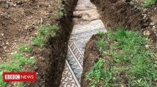 Roman mosaic floor found under Italian vineyard