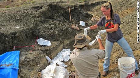 Scientists have found a &#39;fossil graveyard&#39; linked to the asteroid that killed off the dinosaurs