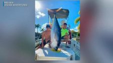 Fishermen catch 220-pound tuna and donate it to frontline health care workers in Hawaii