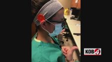 Nurses sew ‘ear savers’ for health care workers who wear masks
