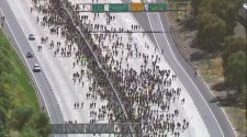 Protestors Break Police Line, March onto I-8 in La Mesa – NBC 7 San Diego