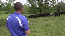 Ranchers using drones to keep cattle healthy