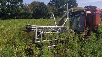 Hemp farming in Germany, and a review of harvesting technology