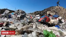 Why is UK recycling being dumped by Turkish roadsides?