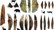 Discovery of oldest bow and arrow technology in Eurasia