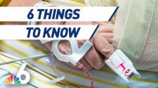 6 Things to Know – Health Care Workers Share Concerns, Legendary Key West Event Cancelled Amid Pandemic – NBC 6 South Florida