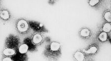 Alabama coronavirus parties offer payouts for those who get infected, official says