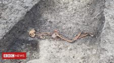Iron Age 'mystery' murder victim found in Wendover