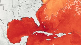 Tropical Storm Gonzalo Forms During A Very Busy Atlantic Hurricane Season : NPR