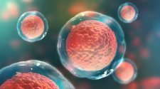 New technology May Raise the quality of stem cells Found in regenerative medicine