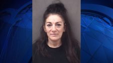 Woman Accused in Pricey Liquor Store Break-In in Milford – NBC Connecticut