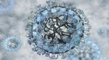 A Genetic Mutation Reveals How the SARS-CoV-2 Virus Strikes