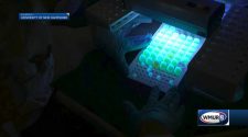 UNH researchers studying UV technology to disinfect N95 masks