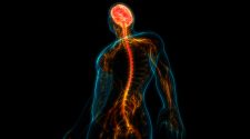 Innovation, technology, and evidence-based treatment for spinal cord injury