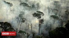 Amazon region: Brazil records big increase in fires