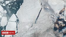 Milne Ice Shelf: Satellites capture Arctic ice split