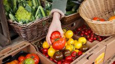 Kamm's Corners Farmers Market offering free produce vouchers to Buckeye Health Plan members today