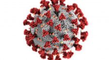 This is a depiction of the novel coronavirus that causes COVID-19. Illustration/U.S. Centers for Disease Control & Prevention