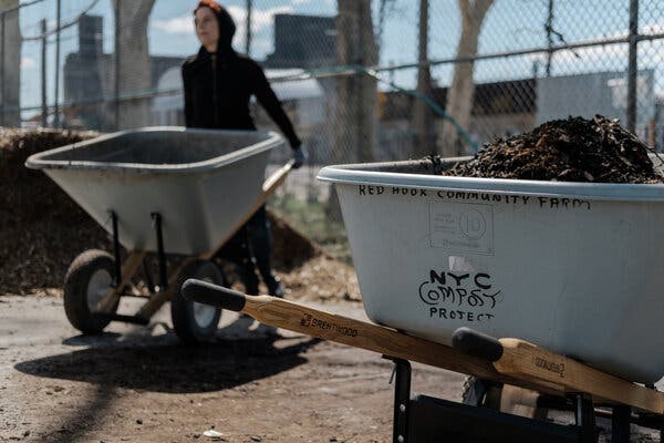 New York City gutted a nascent composting program that could have kept tons of food waste out of landfills.