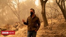 US wildfires fuelled by climate change, California governor says