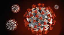 Maine CDC reports 1 new coronavirus-related death, 19 new cases