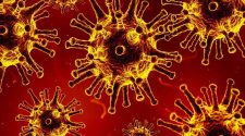 Health officials announce 267 new coronavirus cases and 14 deaths, bringing confirmed death toll to 9,001 in Mass. – Boston News, Weather, Sports