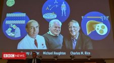 Nobel Prize for Medicine goes to Hepatitis C discovery