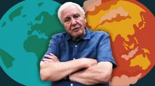 Attenborough: 'Curb excess capitalism' to save nature