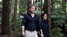 Breaking News - Prince Harry and Meghan Markle warned a wild bear is prowling