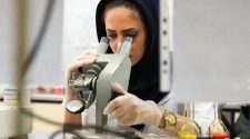 Iranian expatriates participate in technology development