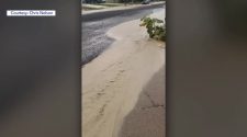 Logan homes flooded with sewage water after water main break