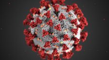 This illustration, created at the Centers for Disease Control and Prevention (CDC), shows the appearance of the novel coronavirus, which causes COVID-19. Submitted / Centers for Disease Control and Prevention