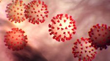 Illinois health officials report 4,245 new cases of coronavirus Sunday, 22 additional deaths