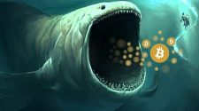 3 BTC whales move 140 million worth of Bitcoins from Binance