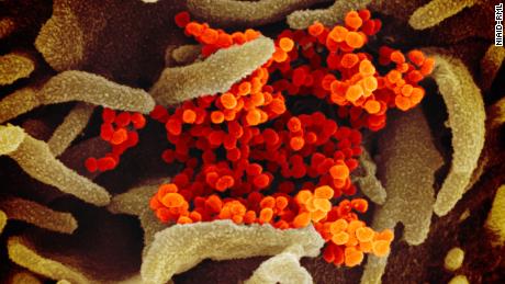 The latest on the coronavirus pandemic